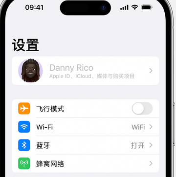 乌苏appleID维修服务iPhone设置中Apple ID显示为灰色无法使用