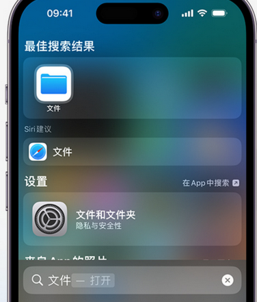 乌苏apple维修中心分享iPhone文件应用中存储和找到下载文件