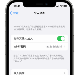 乌苏apple服务站点分享iPhone上个人热点丢失了怎么办 