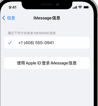 乌苏apple维修iPhone上无法正常发送iMessage信息 