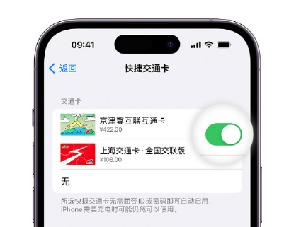 乌苏apple维修点分享iPhone上更换Apple Pay快捷交通卡手绘卡面 