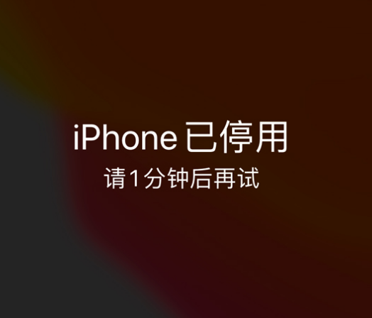 乌苏苹果手机维修分享:iPhone 显示“不可用”或“已停用”怎么办？还能保留数据吗？ 