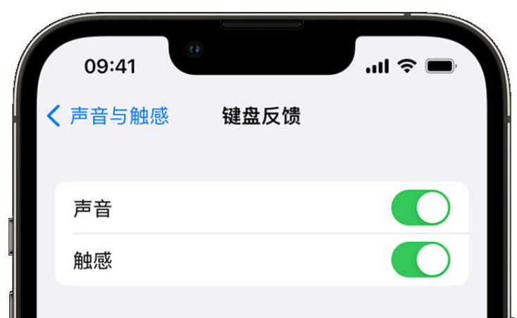 乌苏苹果手机维修分享iPhone 14触感键盘使用方法 