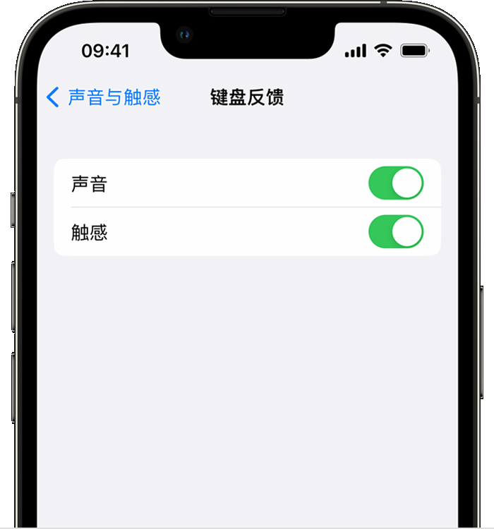 乌苏苹果14维修店分享如何在 iPhone 14 机型中使用触感键盘 