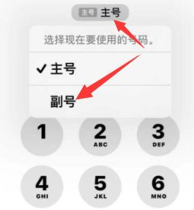 乌苏苹果14维修店分享iPhone 14 Pro Max使用副卡打电话的方法 