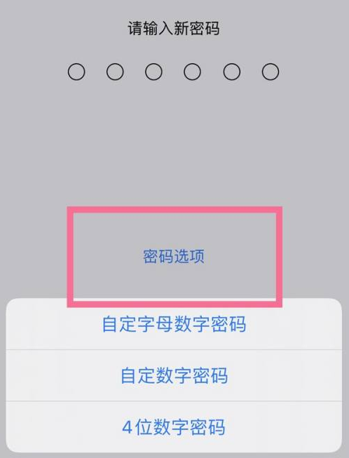 乌苏苹果14维修分享iPhone 14plus设置密码的方法 