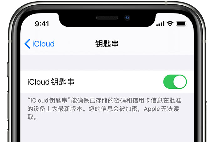 乌苏苹果手机维修分享在 iPhone 上开启 iCloud 钥匙串之后会储存哪些信息 